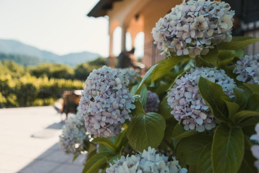 Il Frescale Country House Tramonti Eksteriør billede